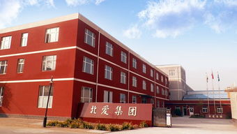 质量是品牌的基石——王天谈职业技能培训的核心竞争力